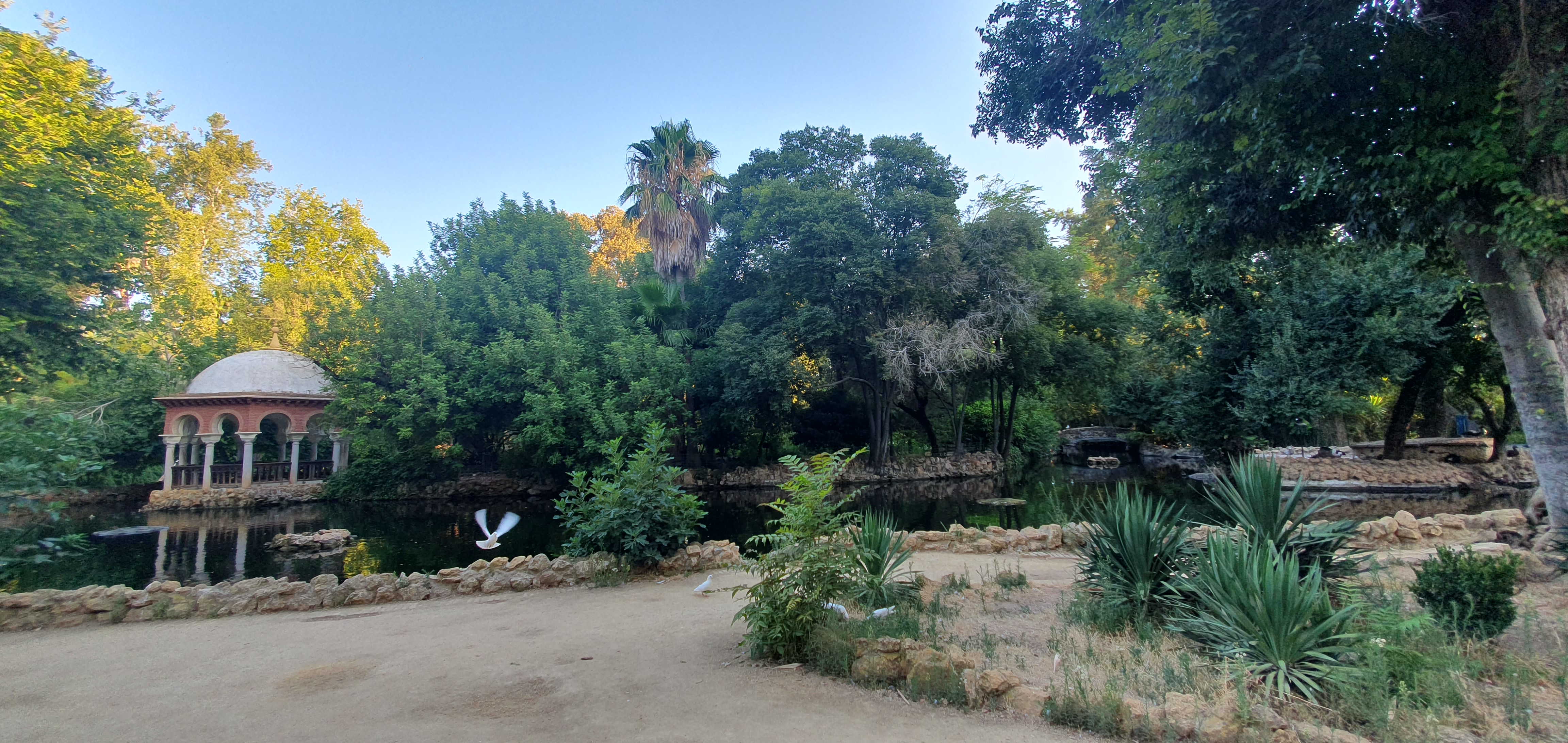 Isleta De Los Patos